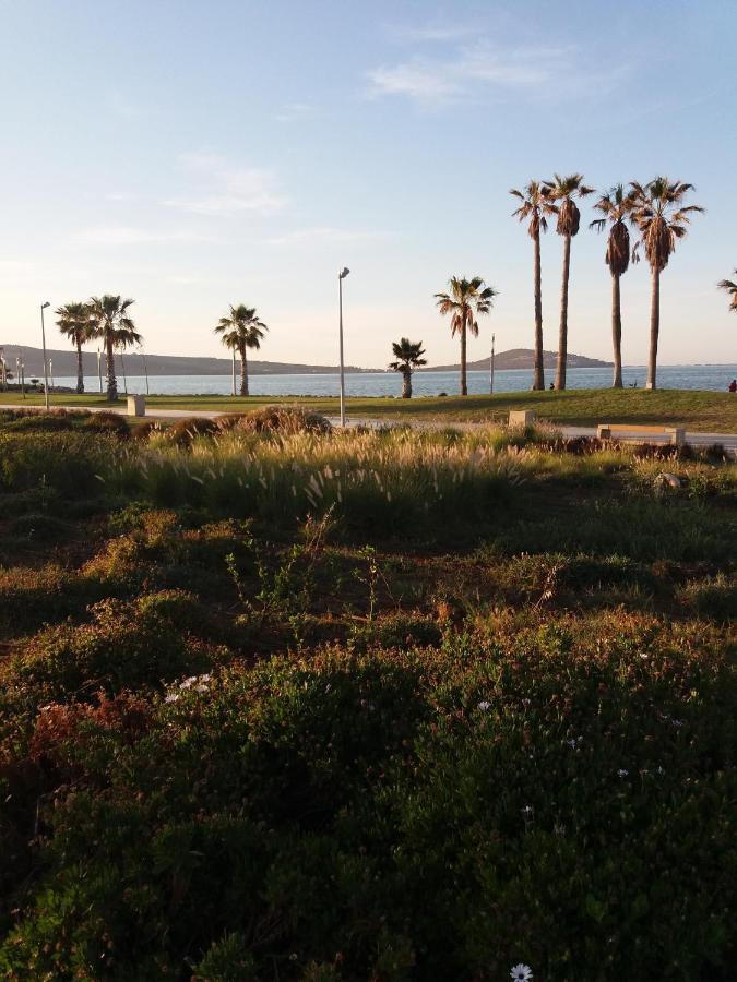 Apartment Nador Rif Екстер'єр фото